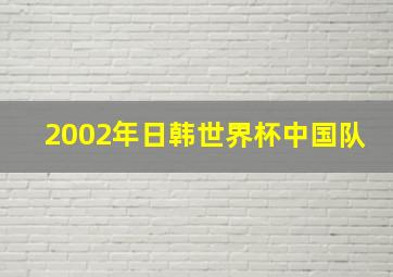 2002年日韩世界杯中国队