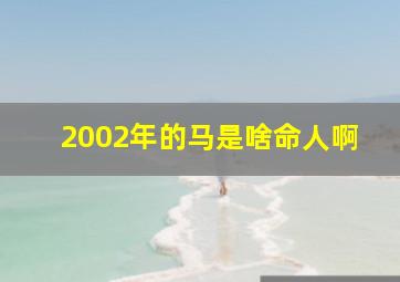 2002年的马是啥命人啊