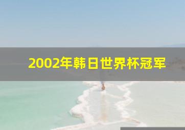 2002年韩日世界杯冠军