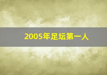 2005年足坛第一人