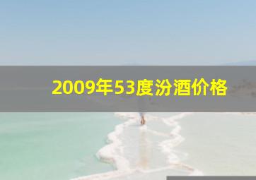 2009年53度汾酒价格