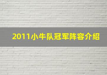 2011小牛队冠军阵容介绍