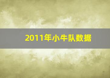 2011年小牛队数据