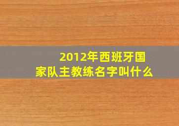 2012年西班牙国家队主教练名字叫什么