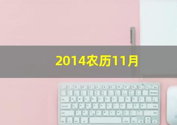 2014农历11月