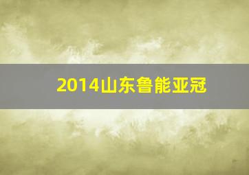 2014山东鲁能亚冠