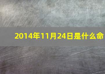 2014年11月24日是什么命