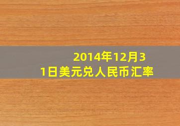 2014年12月31日美元兑人民币汇率