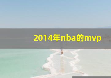 2014年nba的mvp