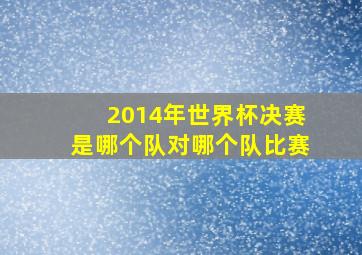 2014年世界杯决赛是哪个队对哪个队比赛