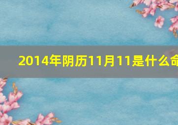 2014年阴历11月11是什么命