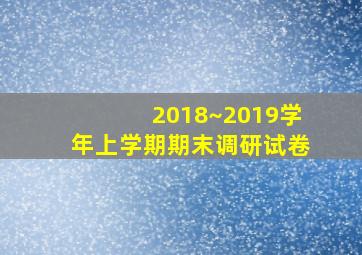 2018~2019学年上学期期末调研试卷