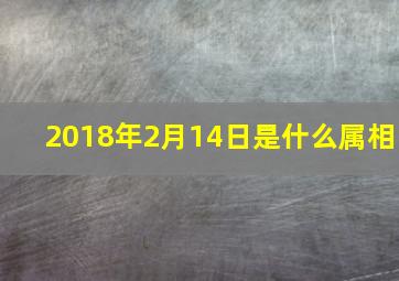 2018年2月14日是什么属相