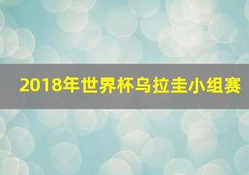 2018年世界杯乌拉圭小组赛