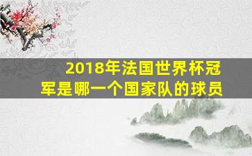 2018年法国世界杯冠军是哪一个国家队的球员