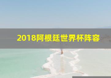 2018阿根廷世界杯阵容