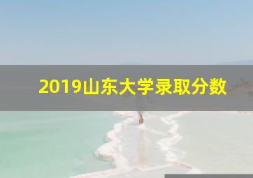 2019山东大学录取分数