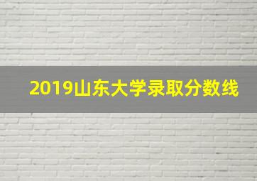 2019山东大学录取分数线