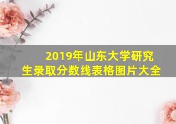 2019年山东大学研究生录取分数线表格图片大全