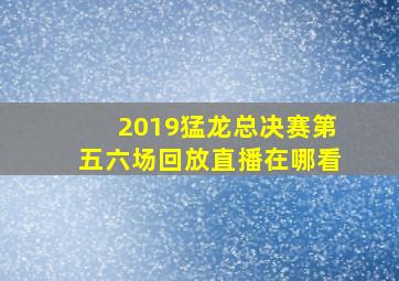 2019猛龙总决赛第五六场回放直播在哪看