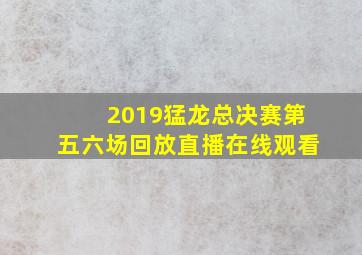 2019猛龙总决赛第五六场回放直播在线观看