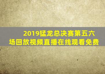 2019猛龙总决赛第五六场回放视频直播在线观看免费