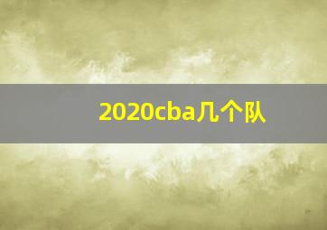 2020cba几个队