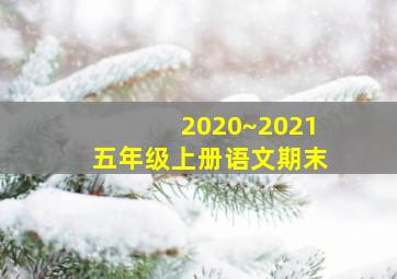 2020~2021五年级上册语文期末