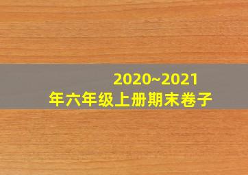 2020~2021年六年级上册期末卷子