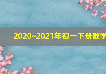 2020~2021年初一下册数学