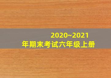 2020~2021年期末考试六年级上册