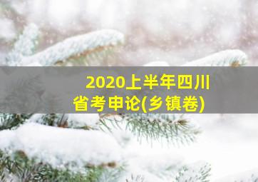 2020上半年四川省考申论(乡镇卷)