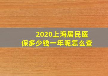 2020上海居民医保多少钱一年呢怎么查