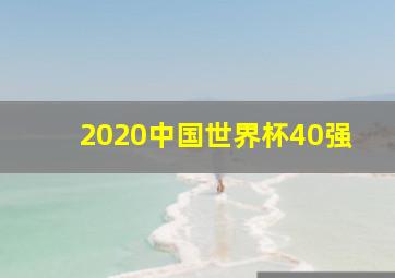 2020中国世界杯40强