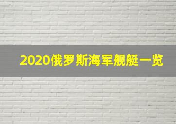 2020俄罗斯海军舰艇一览