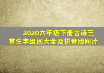 2020六年级下册古诗三首生字组词大全及拼音版图片