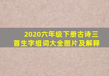 2020六年级下册古诗三首生字组词大全图片及解释