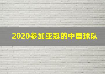 2020参加亚冠的中国球队