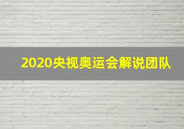 2020央视奥运会解说团队