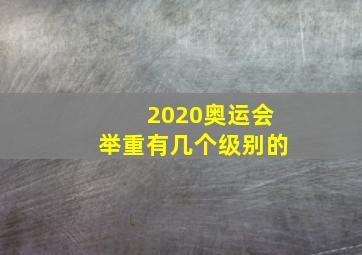 2020奥运会举重有几个级别的