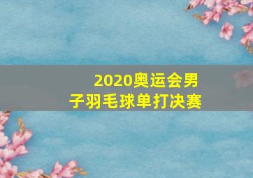 2020奥运会男子羽毛球单打决赛