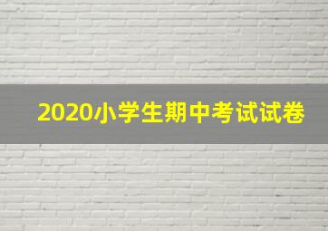 2020小学生期中考试试卷