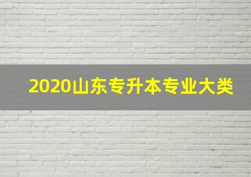 2020山东专升本专业大类