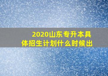 2020山东专升本具体招生计划什么时候出