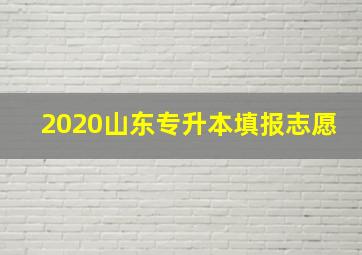 2020山东专升本填报志愿