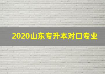 2020山东专升本对口专业