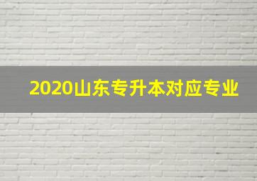 2020山东专升本对应专业