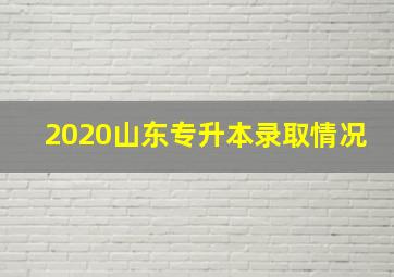 2020山东专升本录取情况