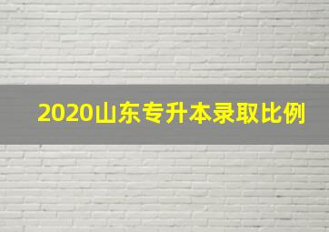 2020山东专升本录取比例