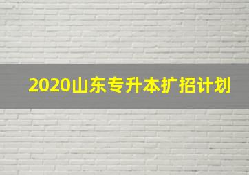 2020山东专升本扩招计划